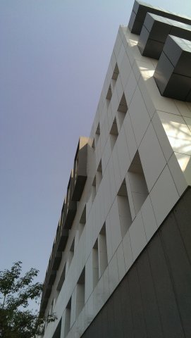 warid-msc